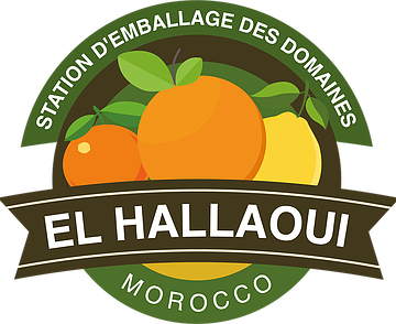 elhellaoui