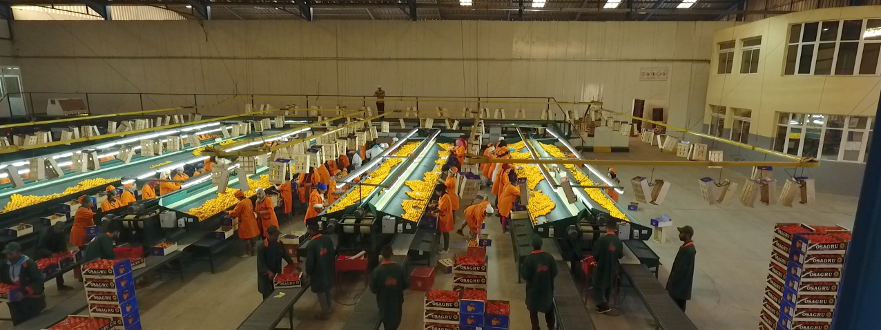 packaging house